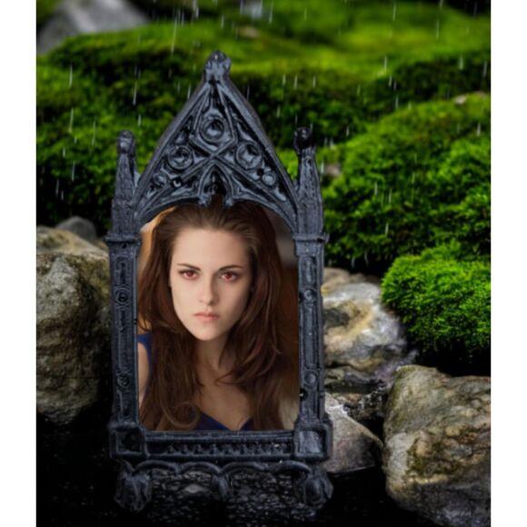 Bella Swan Magnet Twilight New Moon Eclipse Vampire Cullens Werewolf Romance - Picture 1 of 3